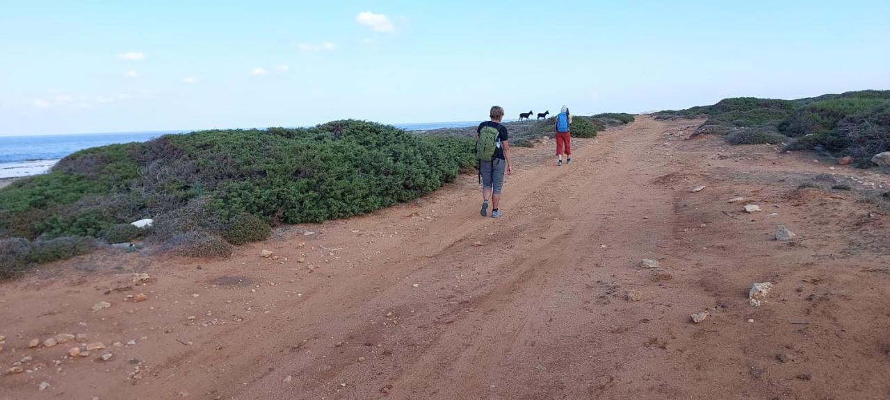 La Medusa Gardens Iskele District  Kültér fotó