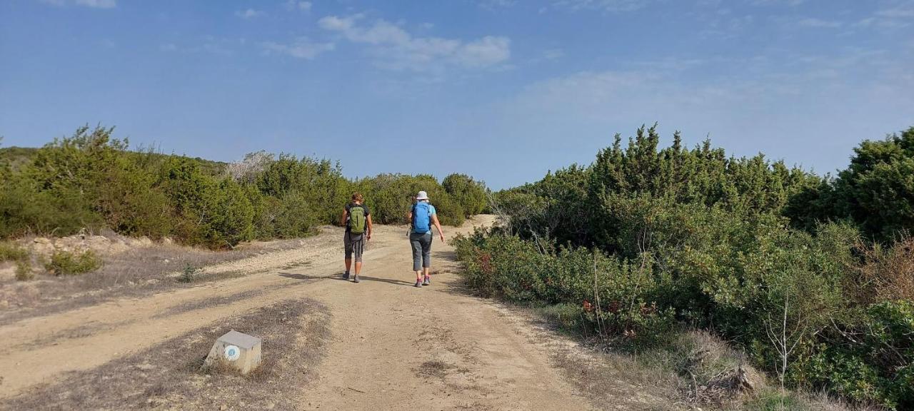 La Medusa Gardens Iskele District  Kültér fotó