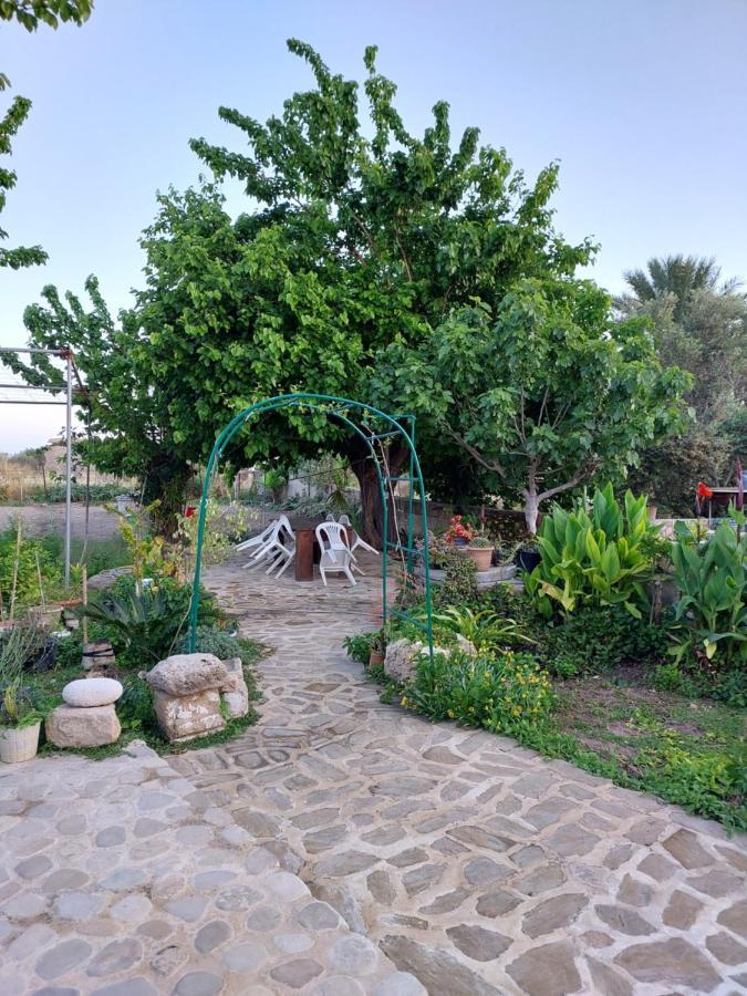 La Medusa Gardens Iskele District  Kültér fotó